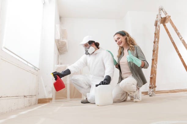 Tangent, OR Mold Removal Company